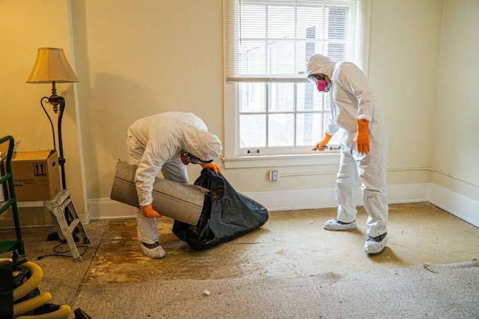 Local SEO for Water Damage Restoration Services